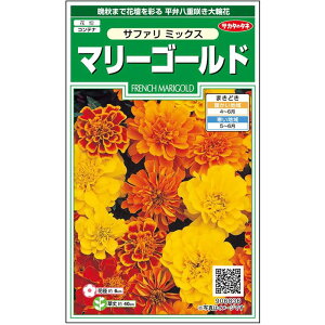 yTJ^̃^lz }[S[h Tt@ ~bNX   29  t܂  H }`J[ A nA ȒP SҌ Ă₷K[fjO |q ^l 