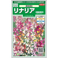 【サカタのタネ公式】 リナリア 姫金魚草 高性混合 花 種 約358粒 小袋 春まき 秋まき 春 夏マルチカラー…