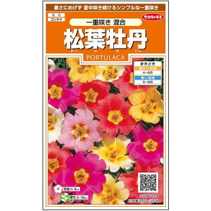 yTJ^̃^lz tO d炫    215  t܂  H }`J[ A nA ȒP SҌ Ă₷ v^[ x_͔|K[fjO | }c