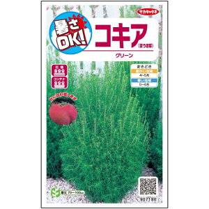 yTJ^̃^lz RLA O[   55  t܂t  H O[ A nA ȒP SҌ Ă₷ v^[ x_͔|K[fjO | ق ق