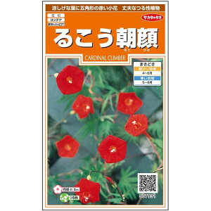 �y�T�J�^�̃^�l�����z�邱������ �� �� ��22�� ���� �t�܂� �ă��b�h ���A�� �n�A�� �ȒP ���S�Ҍ��� ��Ă₷�� �v�����^�[ ���x�����_�͔|�K�[�f�j���O ���|�������� �A�T�K�I ��q �^�l 