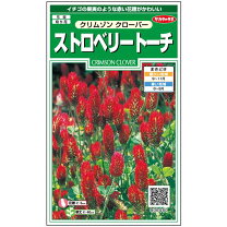 楽天市場】レッドクローバー 種（種子｜ガーデニング・農業）：花