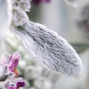 yTJ^̃^lz X^LX(YC[) t@[r[   20  t܂ H܂ t  zCg ؂ hCt[ ƒ؉ ͔| K[fjO | X^LX(YC[) 