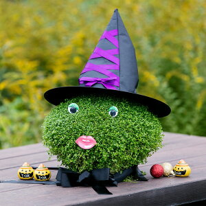 yTJ^̃^lz RVJ~g ~j~g   }`ybgq30  t܂  H ~ O[ A nA v^[  ƒ؉ x_͔| K[fjO | 