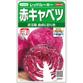 【サカタのタネ公式】 赤キャベツ レッドルーキー 野菜 種 約85粒 小袋 春まき 秋まきサカタ交配 簡単 初心者向き 育てやすい 家庭菜園 栽培 収穫園芸 甘藍 きゃべつ カンラン 種子 タネ たね