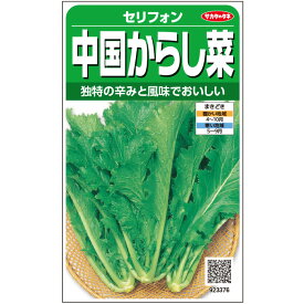 【サカタのタネ公式】 カラシナ セリフォン 野菜 種 約2115粒 小袋 春まき 秋まき固定種珍しい家庭菜園 栽培 収穫園芸 芥子菜 からしな からし菜 種子 タネ たね