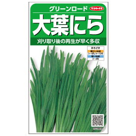 【サカタのタネ公式】 大葉ニラ グリーンロード 野菜 種 約450粒 小袋 春まき 秋まき固定種家庭菜園 栽培 収穫園芸 韮 にら種子 タネ たね