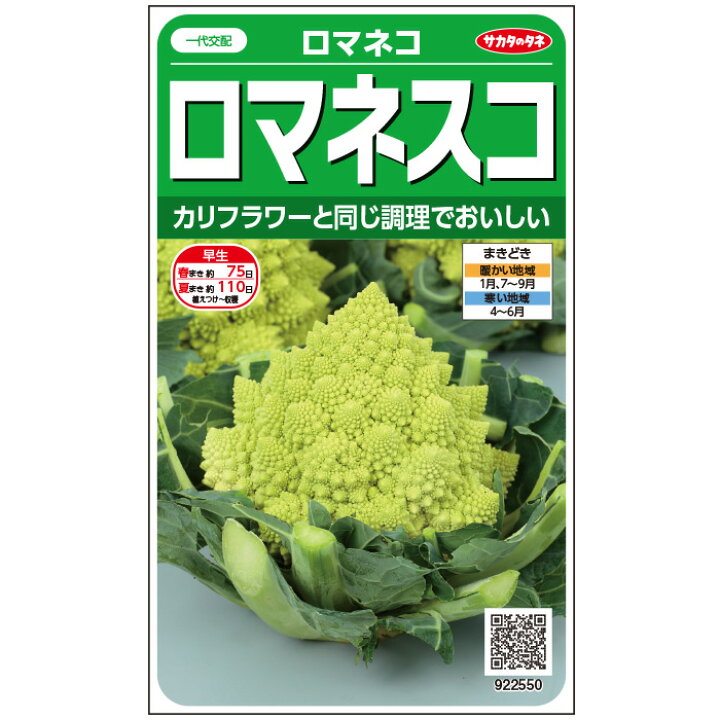 楽天市場 サカタのタネ公式 ロマネスコ ロマネコ 野菜 春まき 秋まき 珍しい 家庭菜園 栽培 収穫 園芸 種子 タネ たね 種 約25粒 サカタのタネ公式楽天市場店 楽天市場 サカタのタネ公式 ロマネスコ ロマネコ 野菜 春まき 秋まき 珍しい 家庭菜園 栽培 収穫 園芸 種子 タネ たね 種 約25粒 サカタのタネ公式楽天市場店