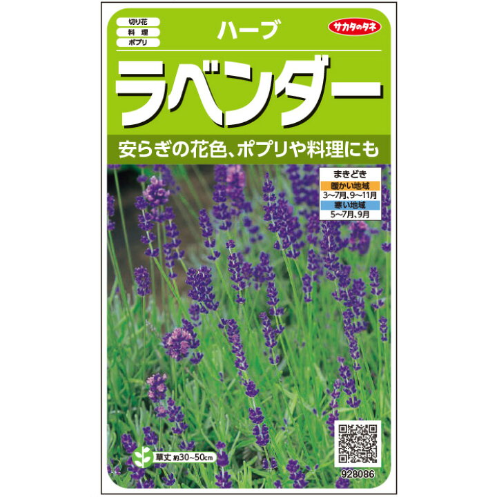 楽天市場 サカタのタネ公式 ハーブ ラベンダー 野菜 春まき 秋まき 固定種 在来種 プランター 鉢 家庭菜園 ベランダ栽培 収穫 園芸 種子 タネ たね 種 約60粒 サカタのタネ公式楽天市場店 楽天市場 サカタのタネ公式 ハーブ ラベンダー 野菜 春まき 秋まき 固定種 在来種 プランター 鉢 家庭菜園 ベランダ栽培 収穫 園芸 種子 タネ たね 種 約60粒 サカタのタネ公式楽天市場店