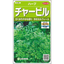 【サカタのタネ公式】 ハーブ チャービル セルフィーユ 野菜 種 約765粒 小袋 春まき 秋まき固定種 簡単 初心者向き 育てやすい プランター 鉢 家庭菜園 ベランダ栽培 収穫園芸種子 タネ たね