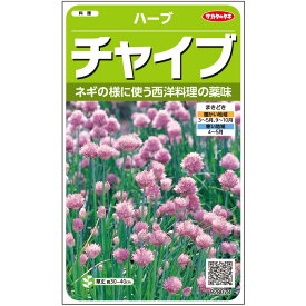 【サカタのタネ公式】 ハーブ チャイブ 野菜 種 約215粒 小袋 春まき 秋まき固定種 簡単 初心者向き 育てやすい プランター 鉢 家庭菜園 ベランダ栽培 収穫園芸種子 タネ たね