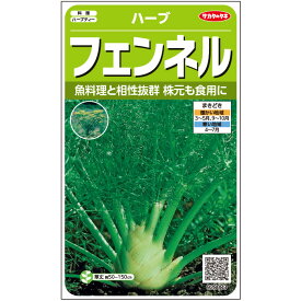 【サカタのタネ公式】 ハーブ フェンネル 野菜 種 約120粒 小袋 春まき 秋まき固定種 簡単 初心者向き 育てやすい プランター 鉢 家庭菜園 ベランダ栽培 収穫園芸種子 タネ たね