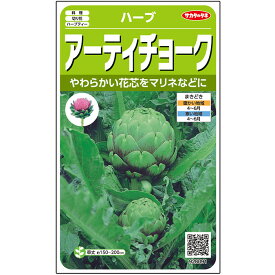 【サカタのタネ公式】アーティチョーク 野菜 種 約14粒 小袋 春まき 固定種家庭菜園 栽培 収穫園芸 アーティーチョーク 種子 タネ たね