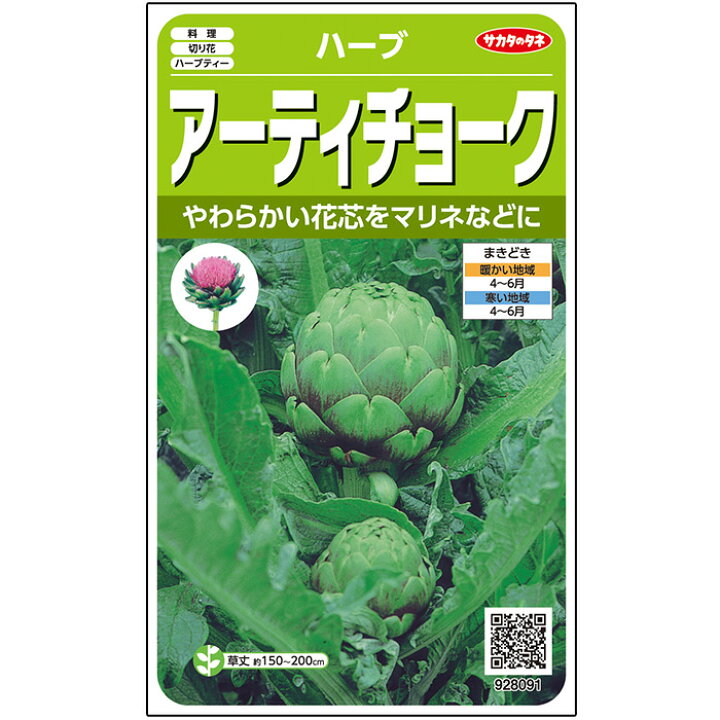 楽天市場 サカタのタネ公式 アーティチョーク 野菜 春まき 固定種 在来種 家庭菜園 栽培 収穫 園芸 種子 タネ たね 種 約14粒 サカタのタネ公式楽天市場店 楽天市場 サカタのタネ公式 アーティチョーク 野菜 春まき 固定種 在来種 家庭菜園 栽培 収穫 園芸 種子 タネ たね 種 約14粒 サカタのタネ公式楽天市場店