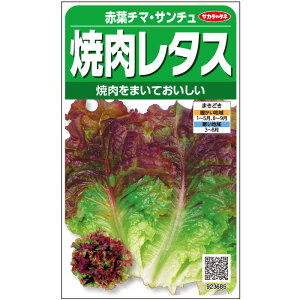 プランター レタス 栽培の人気商品 通販 価格比較 価格 Com