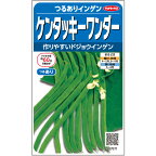 【サカタのタネ公式】 つるありインゲン ケンタッキーワンダー 野菜 種 約50粒 小袋 春まき 秋まき固定種 簡単 初心者向き 育てやすい プランター 鉢美味しい 家庭菜園 ベランダ栽培 収穫園芸いんげん種子 タネ たね