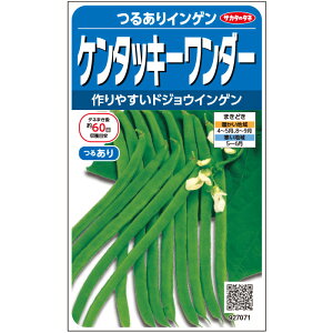 種 インゲン つるありの人気商品 通販 価格比較 価格 Com