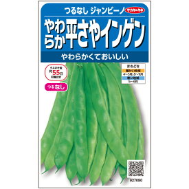 【サカタのタネ公式】 つるなしインゲン ジャンビーノ野菜 種 約30粒 小袋 春まき 秋まき固定種 簡単 初心者向き 育てやすい プランター 鉢美味しい 家庭菜園 ベランダ栽培 収穫園芸いんげん種子 タネ たね