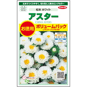 菊 切り花の人気商品 通販 価格比較 価格 Com