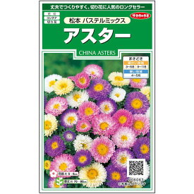 【サカタのタネ公式】 アスター 松本 パステル ミックス 花 種 約186粒 小袋 春まき 秋まき夏 秋 マルチカラー 鉢植え 地植え 切り花育てやすいガーデニング 園芸種子 タネ たね