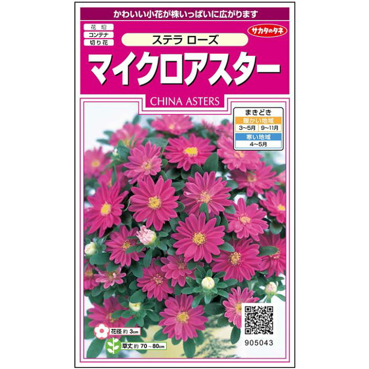 楽天市場 サカタのタネ公式 アスター ステラ ローズ ピンク 花 春まき 秋まき 夏 秋 鉢植え 地植え 切り花 育てやすい ガーデニング 園芸 種子 タネ たね 種 約72粒 サカタのタネ公式楽天市場店