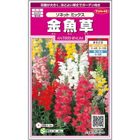 【サカタのタネ公式】 キンギョソウ ソネット ミックス 花 種 約43粒 小袋 春まき 秋まき 春 夏マルチカラー 鉢植え 地植え 切り花育てやすいガーデニング 園芸 金魚草 きんぎょそう種子 タネ たね