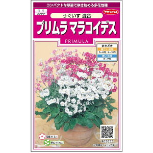 秋 鉢植え 花の人気商品 通販 価格比較 価格 Com