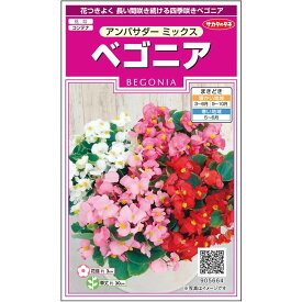 【サカタのタネ公式】 ベゴニア アンバサダー ミックス 花 種 ペレットシード約30粒 小袋 春まき 秋まき 春 夏 秋 マルチカラー 鉢植え 地植え 育てやすい プランター 鉢ベランダ栽培ガーデニング 園芸 ベコニア 種子 タネ たね