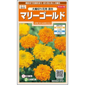 切り花 鉢植えの人気商品 通販 価格比較 価格 Com