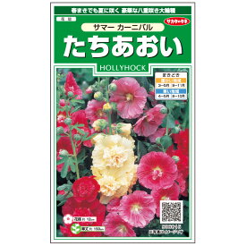 【サカタのタネ公式】 たちあおい サマーカーニバル 花 種 約34粒 小袋 春まき 秋まき夏マルチカラー 鉢植え 地植え 簡単 初心者向き 育てやすいガーデニング 園芸 タチアオイ 種子 タネ たね