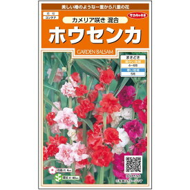 【サカタのタネ公式】 ホウセンカ カメリア咲き 混合 花 種 約63粒 小袋 春まき 夏 秋 マルチカラー 鉢植え 地植え 簡単 初心者向き 育てやすい プランター 鉢ベランダ栽培ガーデニング 園芸 鳳仙花 ほうせんか種子 タネ たね