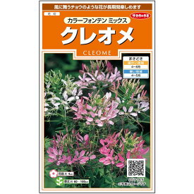 【サカタのタネ公式】 クレオメ カラーフォンテン ミックス 花 種 約167粒 小袋 春まき 夏 秋 マルチカラー 鉢植え 地植え ガーデニング 園芸 西洋風蝶草セイヨウフウチョウソウ 種子 タネ たね