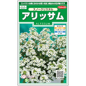 【サカタのタネ公式】 アリッサム スノークリスタル 花 種 約43粒 小袋 春まき 秋まき 春 ホワイト 鉢植え 地植え 切り花簡単 初心者向き 育てやすい プランター 鉢ベランダ栽培ガーデニング 園芸種子 タネ たね