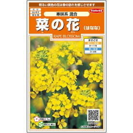 【サカタのタネ公式】 菜の花 寒咲系 混合 花 種 約118粒 小袋 春まき 秋まき 春 冬イエロー 鉢植え 地植え 切り花簡単 初心者向き 育てやすいガーデニング 園芸 菜花 なのはな種子 タネ たね