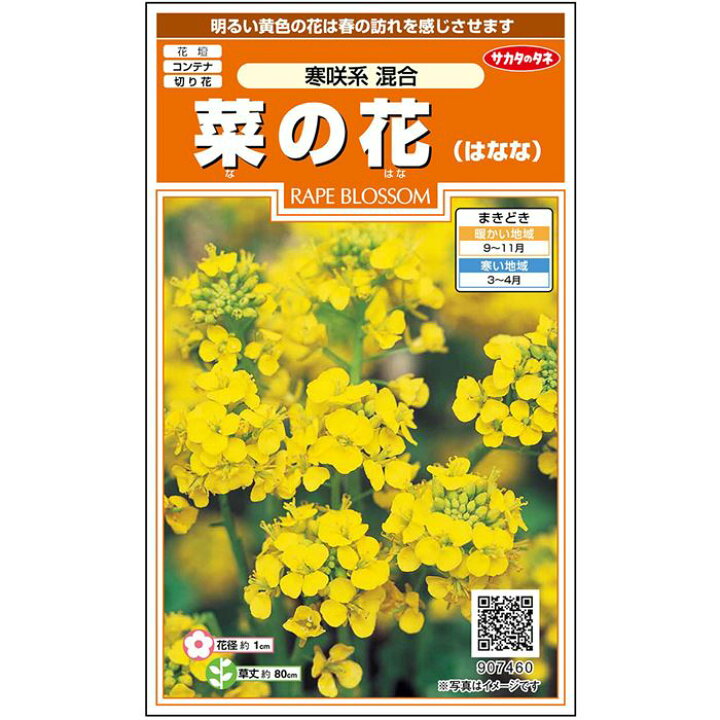 楽天市場 サカタのタネ公式 菜の花 寒咲系 混合 イエロー 花 春まき 秋まき 春 冬 鉢植え 地植え 切り花 簡単 初心者向き 育てやすい ガーデニング 園芸 種子 タネ たね 種 約118粒 サカタのタネ公式楽天市場店 楽天市場 サカタのタネ公式 菜の花 寒咲系 混合 イエロー 花 春まき 秋まき 春 冬 鉢植え 地植え 切り花 簡単 初心者向き 育てやすい ガーデニング 園芸 種子 タネ たね 種 約118粒 サカタのタネ公式楽天市場店