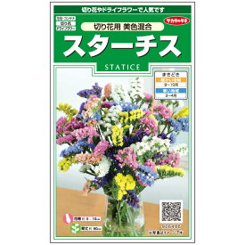 【サカタのタネ公式】 スターチス切り花用 美色混合花 種 約54粒 小袋 春まき 秋まき 春 夏マルチカラー 鉢植え 地植え 切り花 ドライフラワー 簡単 初心者向き 育てやすい プランター 鉢ベランダ栽培ガーデニング 園芸 チース 種子 タネ たね