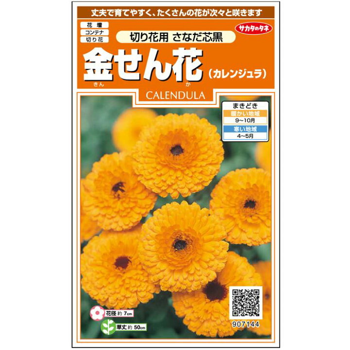 楽天市場 サカタのタネ公式 金せん花 カレンジュラ 切り花用 さなだ芯黒 オレンジ 花 春まき 秋まき 春 鉢植え 地植え 切り花 簡単 初心者向き 育てやすい プランター 鉢 ベランダ栽培 ガーデニング 園芸 種子 タネ たね 種 約42粒 サカタのタネ公式楽天市場店