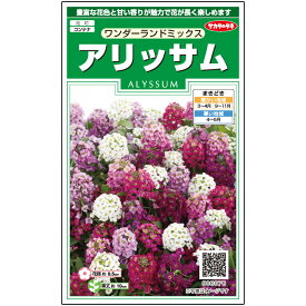 【サカタのタネ公式】 アリッサム ワンダーランドミックス 花 種 約43粒 小袋 春まき 秋まき 春 夏マルチカラー 鉢植え 地植え 簡単 初心者向き 育てやすいガーデニング 園芸種子 タネ たね