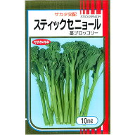 茎ブロッコリー スティックセニョール （1000〜2000粒） 10mL 袋