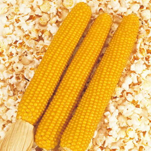 �g�E�����R�V �|�b�v�R�[�� �C�G���[�|�b�v �i��740���j 1dL ��