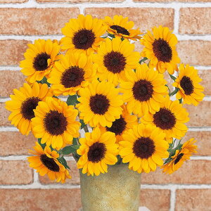 yTJ^̃^lz q} rZg(R) (2^) IW   tBR[gq300  t܂  H IW A nA ƒ؉ ͔| K[fjO | q} Ђ܂