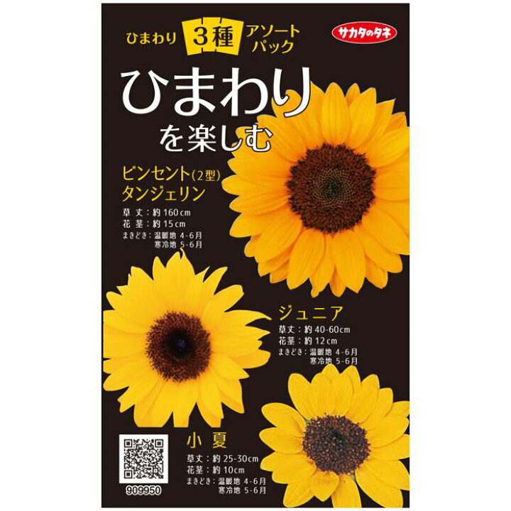 楽天市場 サカタのタネ公式 ひまわり3種 ひまわりを楽しむ マルチカラー 花 春まき 夏 鉢植え 地植え 簡単 初心者向き 育てやすい ガーデニング 園芸 種子 タネ たね 種 サカタのタネ公式楽天市場店 楽天市場 サカタのタネ公式 ひまわり3種 ひまわりを楽しむ マルチカラー 花 春まき 夏 鉢植え 地植え 簡単 初心者向き 育てやすい ガーデニング 園芸 種子 タネ たね 種 サカタのタネ公式楽天市場店