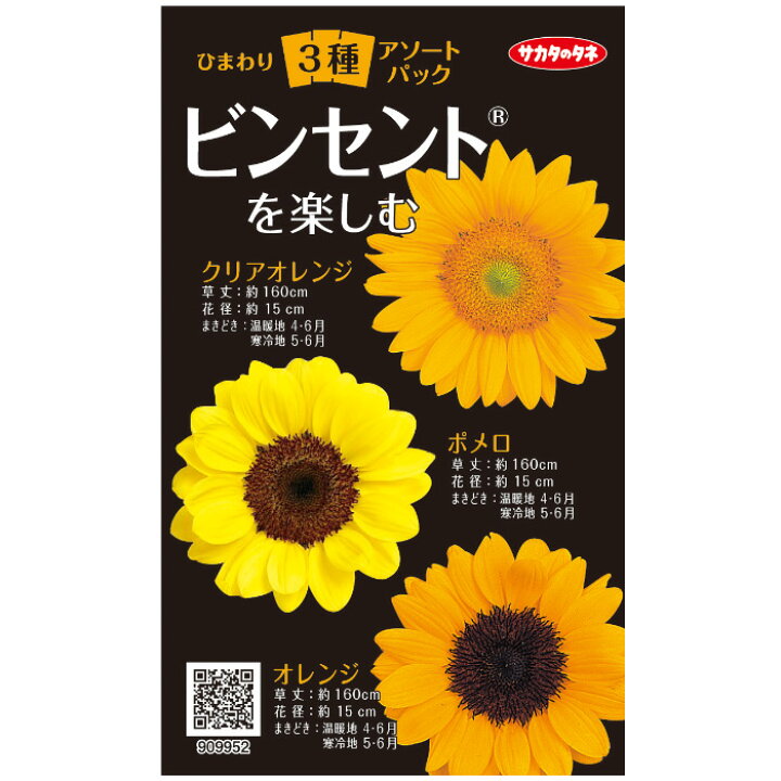 楽天市場 サカタのタネ公式 ひまわり3種 ビンセント R を楽しむ マルチカラー 花 春まき 夏 鉢植え 地植え 簡単 初心者向き 育てやすい ガーデニング 園芸 種子 タネ たね 種 サカタのタネ公式楽天市場店 楽天市場 サカタのタネ公式 ひまわり3種 ビンセント R を楽しむ マルチカラー 花 春まき 夏 鉢植え 地植え 簡単 初心者向き 育てやすい ガーデニング 園芸 種子 タネ たね 種 サカタのタネ公式楽天市場店