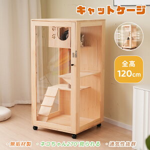 yLX^[tzʋCQ LQ[W   LbgnEX lR LbgP[W  ی Eh~  Lpi ybgpi