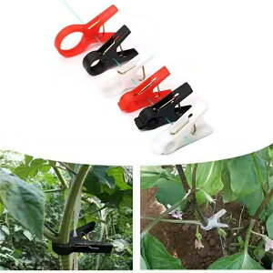 UNbvy 100 zLE iX |Nbv K[fjO U  ƒ؉ U  K[f pi _  |pi _Ɨpi _Ɨp _Ǝ ֗ ObY