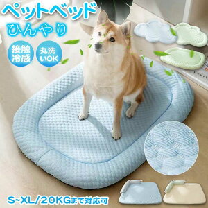 ybgxbh ėp p ⊴ Ђ NbV}bg ʋCD Lp \t@ ڐG⊴f ӂӂ ybgNbV pxbh Lpxbh  ybgpi 􂦂 ΍ ~