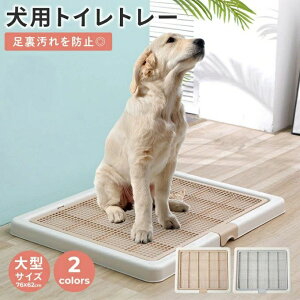 gCg[  ybggC X[p[Ch  gC t`ꂵɂ g[jO ybgg[  gCg[jO