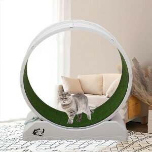 LbgzC[ L 񂵎 bNu ÉmCY Lp[i[ L jOzC[ LbgEH[N ^s XgX LbgjO}V ^Lp 