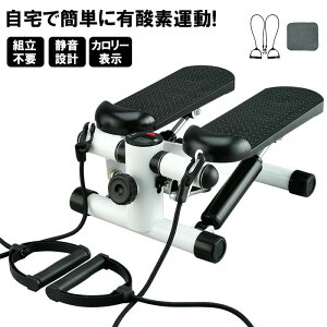 全品P5+ハタチ 保護マット付 静音 ステッパー 筋トレ 体幹 くびれ ウエスト ダイエット フィットネス トレーニング ステップ台 お腹 お尻 太もも ダイエット 室内 運動器具 脂肪燃焼