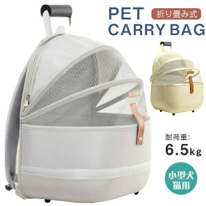  L ybg L[ bN ybg bN ybg L[obO ^ ^L ETM bN ʋC obO ybgnEX hCu s ʉ@ ЊQp ybgobO y y